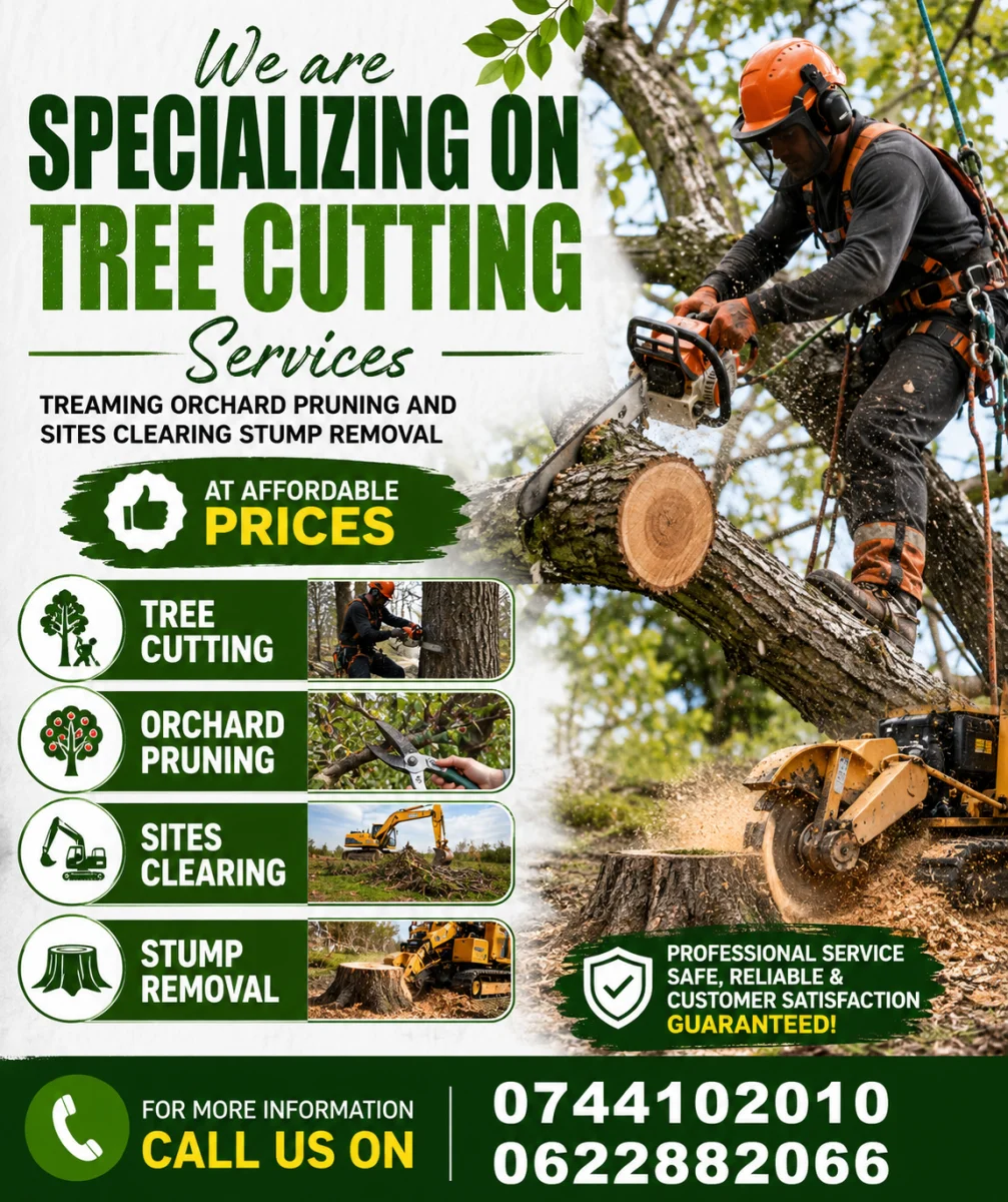 Tree cutting work