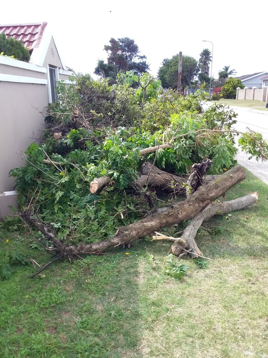 Site clearing and stump removal